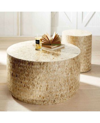 Handmade Mother of Pearl Floral Pattern Coffee Table