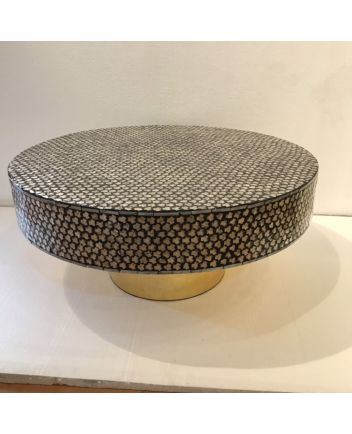 Handmade Mother of Pearl Coffee Table Furniture