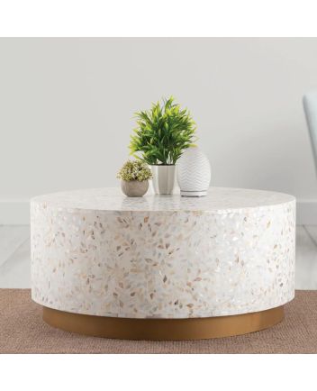 Handmade Mother of Pearl Floral Pattern Coffee Table
