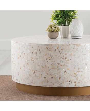 Handmade Mother of Pearl Floral Pattern Coffee Table