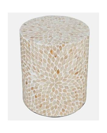 Handmade Mother of Pearl Modern Pattern End Table
