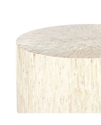 Handmade Mother of Pearl Coffee Table
