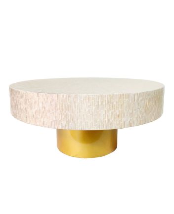 Handmade Mother of Pearl Coffee Table Furniture