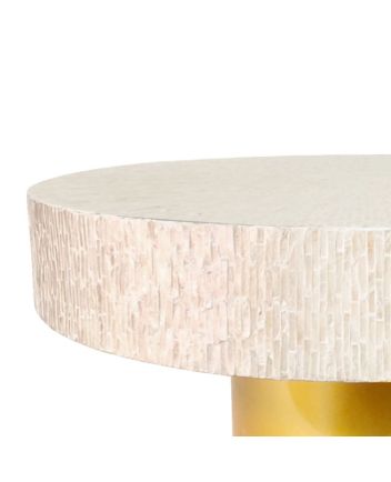 Handmade Mother of Pearl Coffee Table Furniture